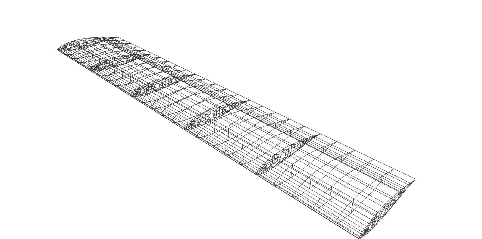 A wing as a mesh of lines, with its ribs and spars showing through the skin
